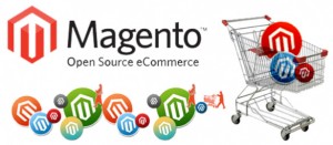 Magento-Ecommerce-Development